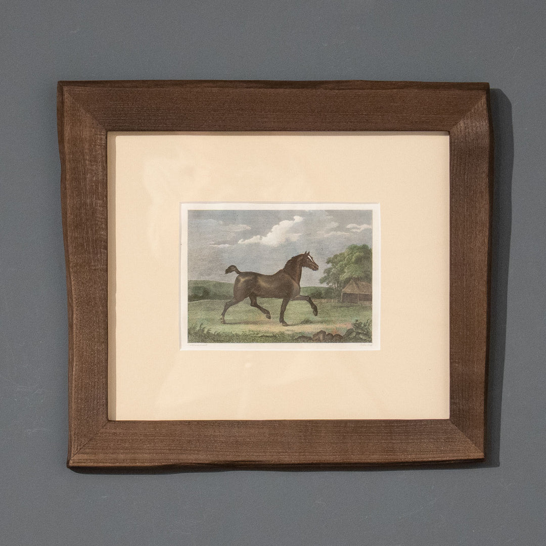 『A Spirited British Steed』前脚を高く上げて軽快に走る馬の姿を捉えた アートピース