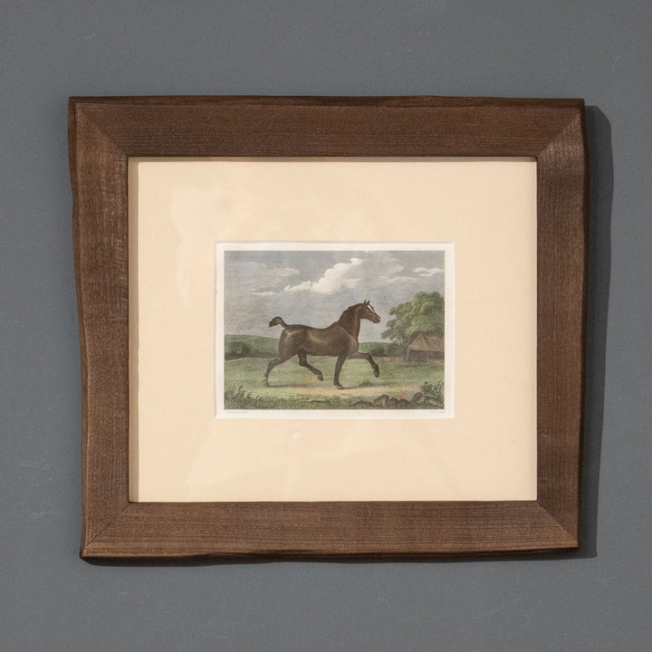『A Spirited British Steed』前脚を高く上げて軽快に走る馬の姿を捉えた アートピース