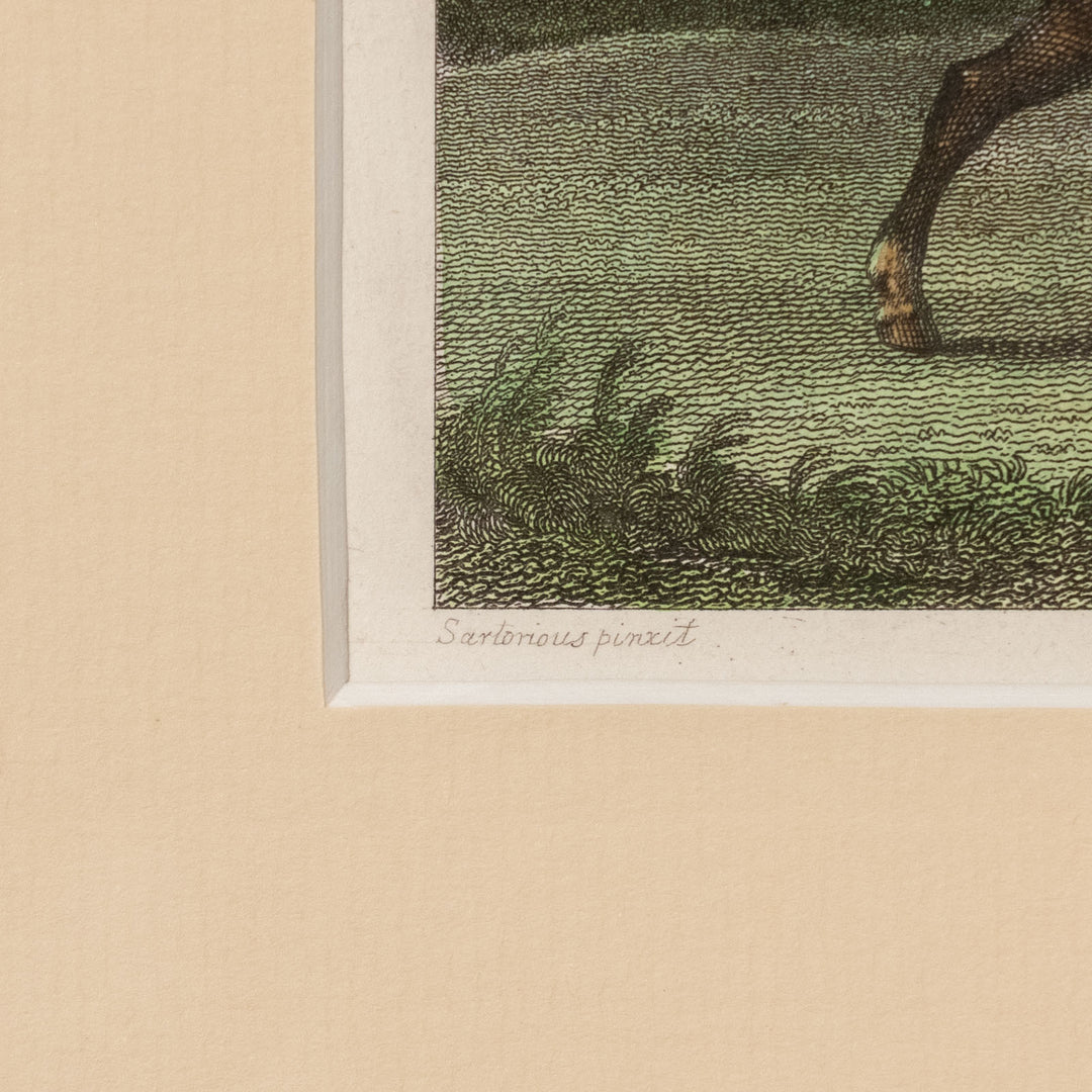 『A Spirited British Steed』前脚を高く上げて軽快に走る馬の姿を捉えた アートピース