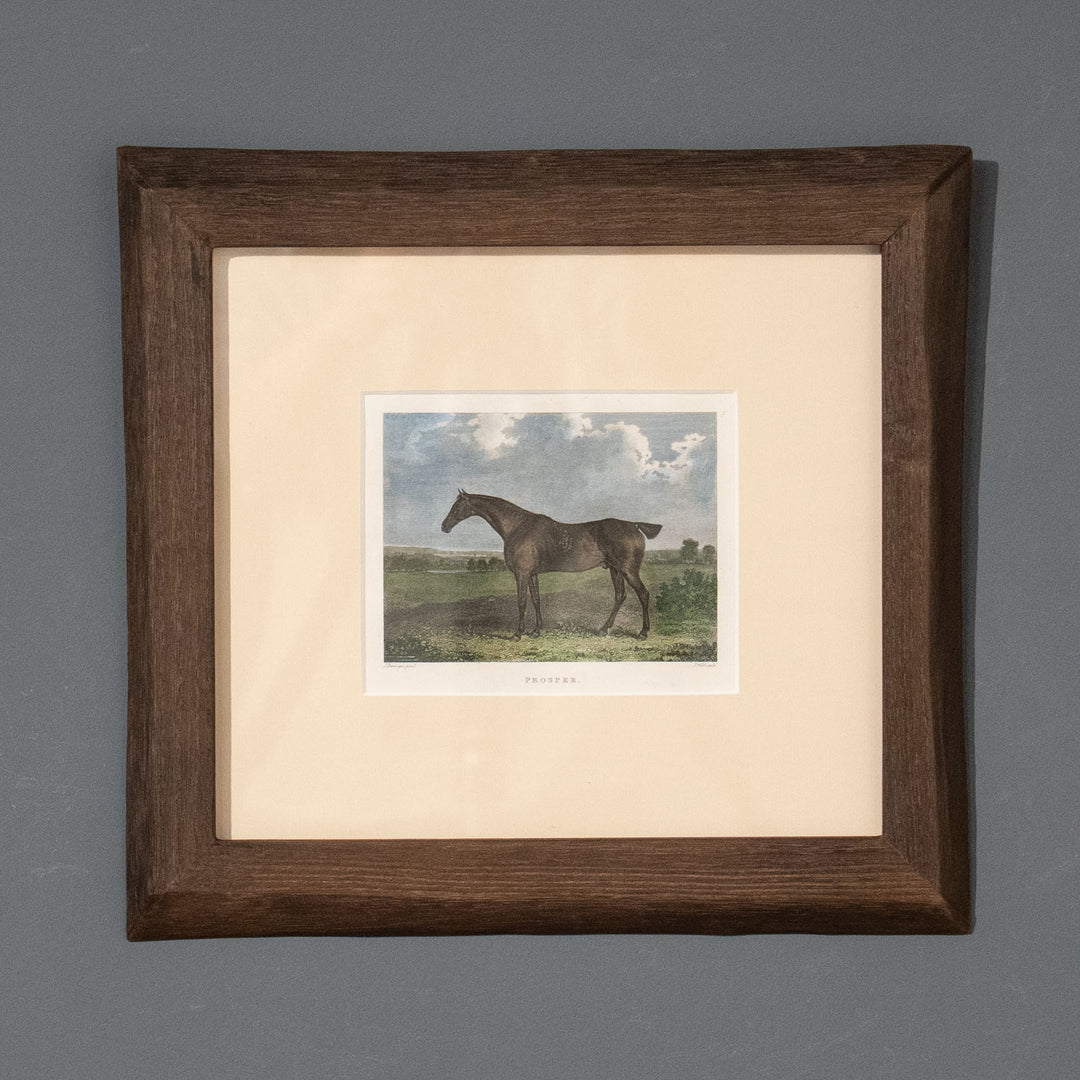 『Prosper: Bay Gelding』美しさと走りが高く評価されていた名馬プロスパーの肖像画 アートピース