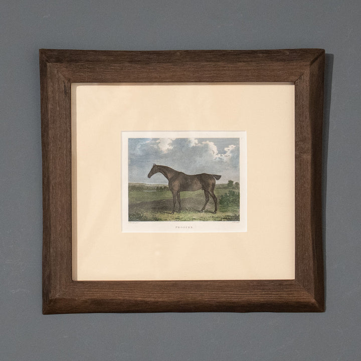 『Prosper: Bay Gelding』美しさと走りが高く評価されていた名馬プロスパーの肖像画 アートピース