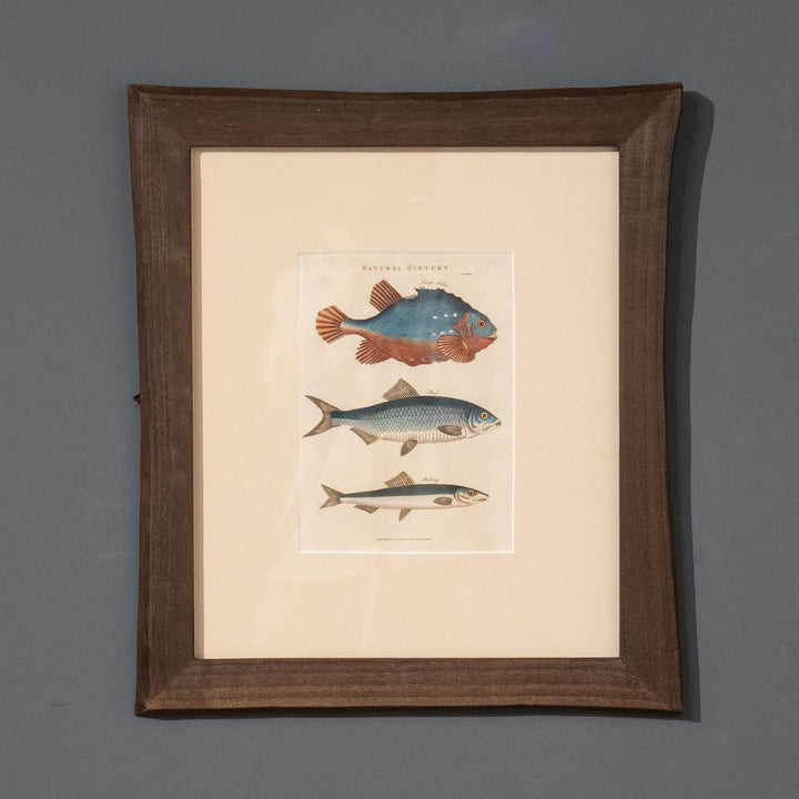『Lump Sucker, Shad & Anchovy』姿形の異なる3種の魚をバランスよく配置した アートピース