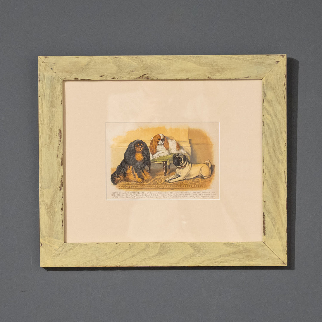 『KING CHARLES SPANIEL, BLENHEIM AND PUG』英国王室の愛玩犬 アートピース