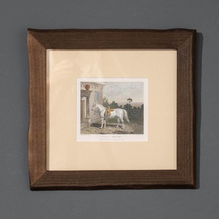 『SYLVIA, A Lady's Pony』貴婦人の乗馬用として愛されていた白馬シルヴィアの肖像画 アートピース