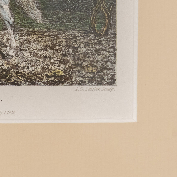 『SYLVIA, A Lady's Pony』貴婦人の乗馬用として愛されていた白馬シルヴィアの肖像画 アートピース