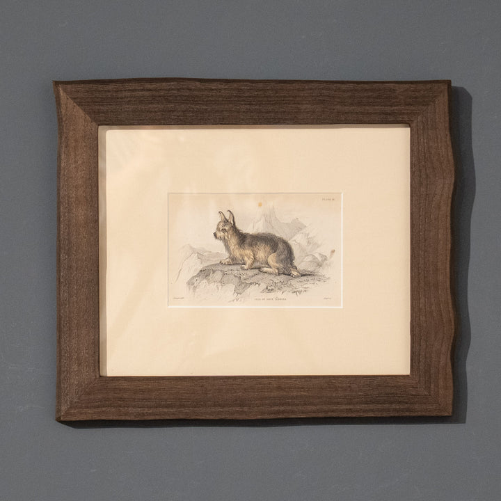 『ISLE OF SKYE TERRIER』幻の犬種スカイテリアの初期肖像 アートピース