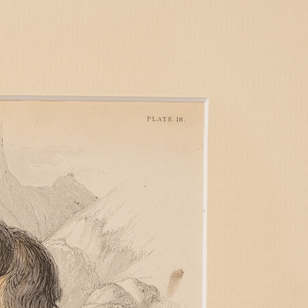 『ISLE OF SKYE TERRIER』幻の犬種スカイテリアの初期肖像 アートピース