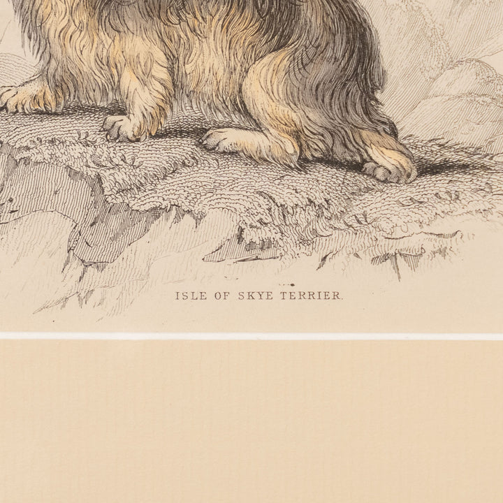 『ISLE OF SKYE TERRIER』幻の犬種スカイテリアの初期肖像 アートピース