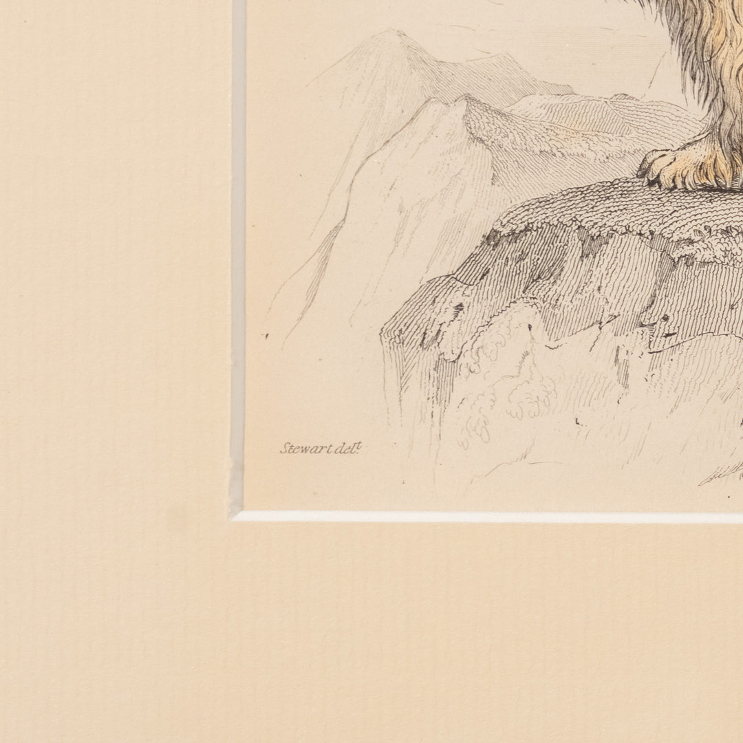 『ISLE OF SKYE TERRIER』幻の犬種スカイテリアの初期肖像 アートピース