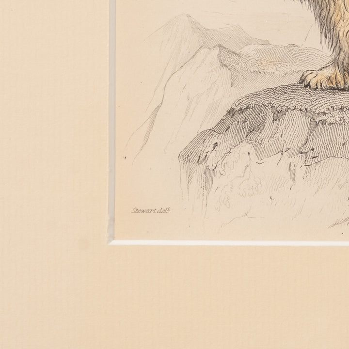 『ISLE OF SKYE TERRIER』幻の犬種スカイテリアの初期肖像 アートピース