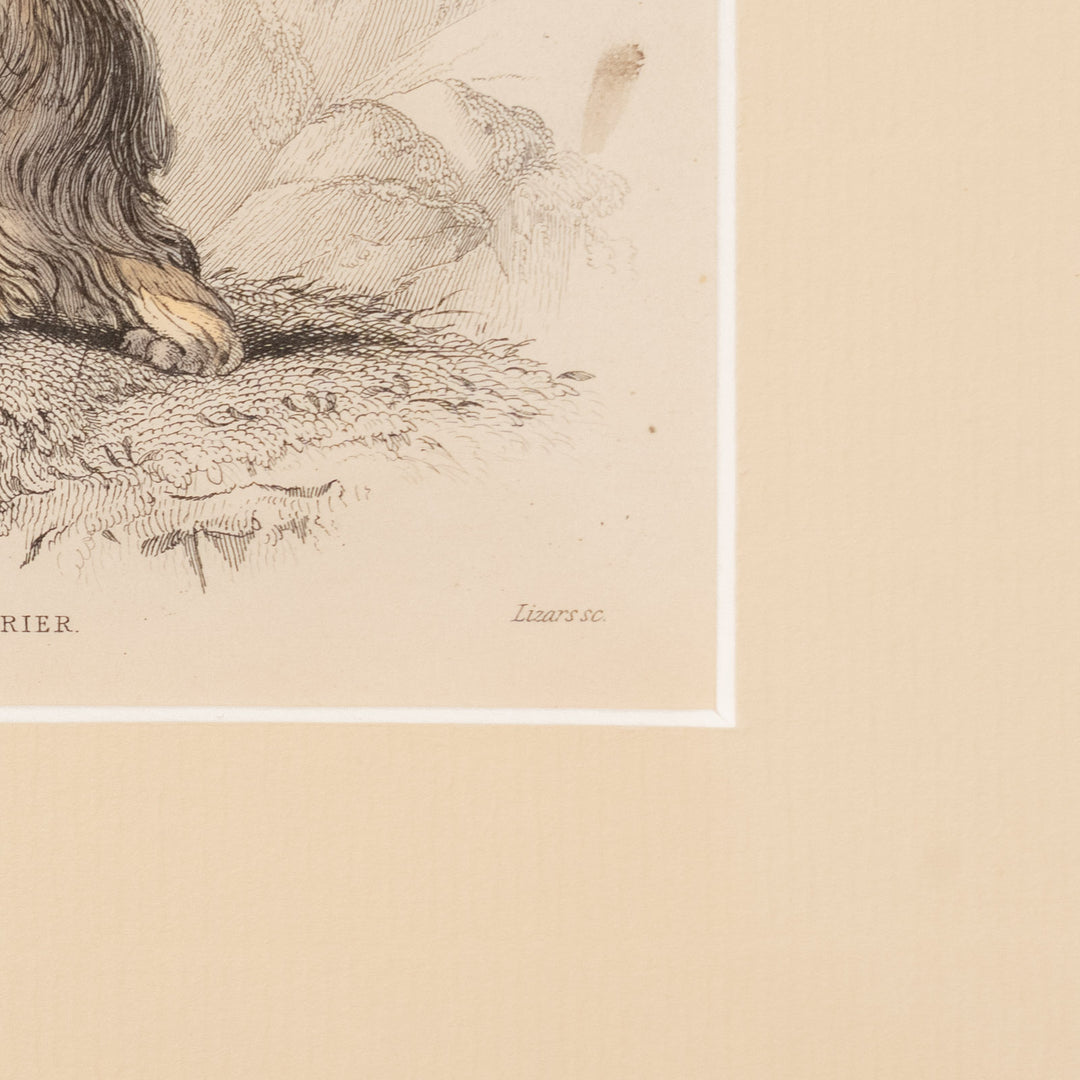 『ISLE OF SKYE TERRIER』幻の犬種スカイテリアの初期肖像 アートピース