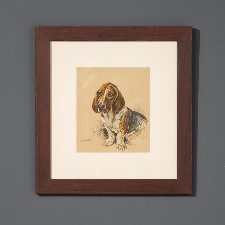 『Pagan - Basset Hound』バセットハウンドを緻密なデッサンで表現 アートピース