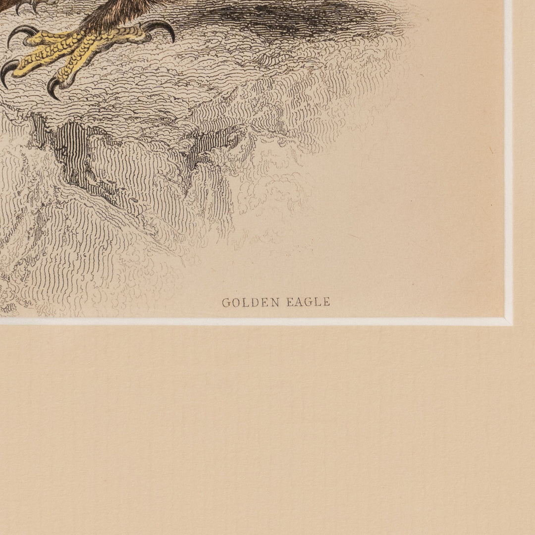 『GOLDEN EAGLE』イヌワシの勇猛な姿が描かれた アートピース