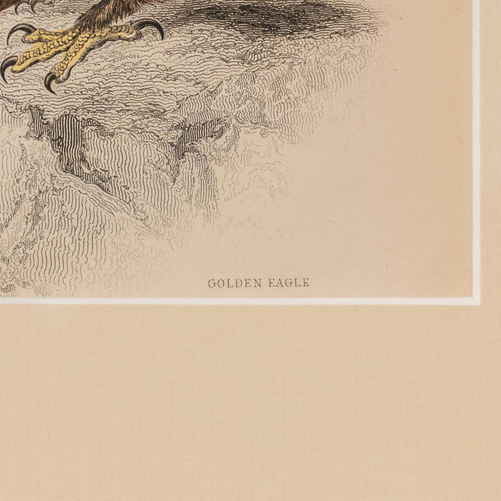 『GOLDEN EAGLE』イヌワシの勇猛な姿が描かれた アートピース