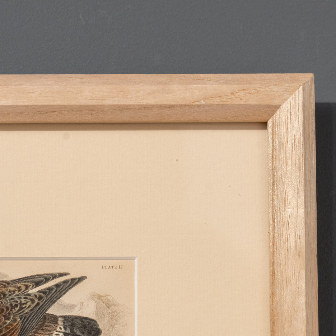 『GOLDEN EAGLE』イヌワシの勇猛な姿が描かれた アートピース