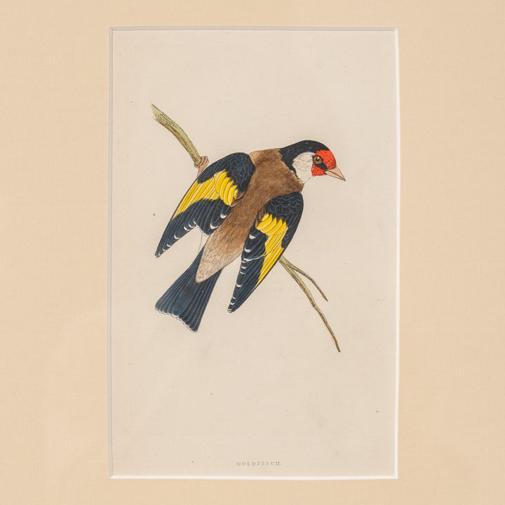 『GOLDFINCH』木の枝に佇む美しいゴシキヒワを描いた アートピース