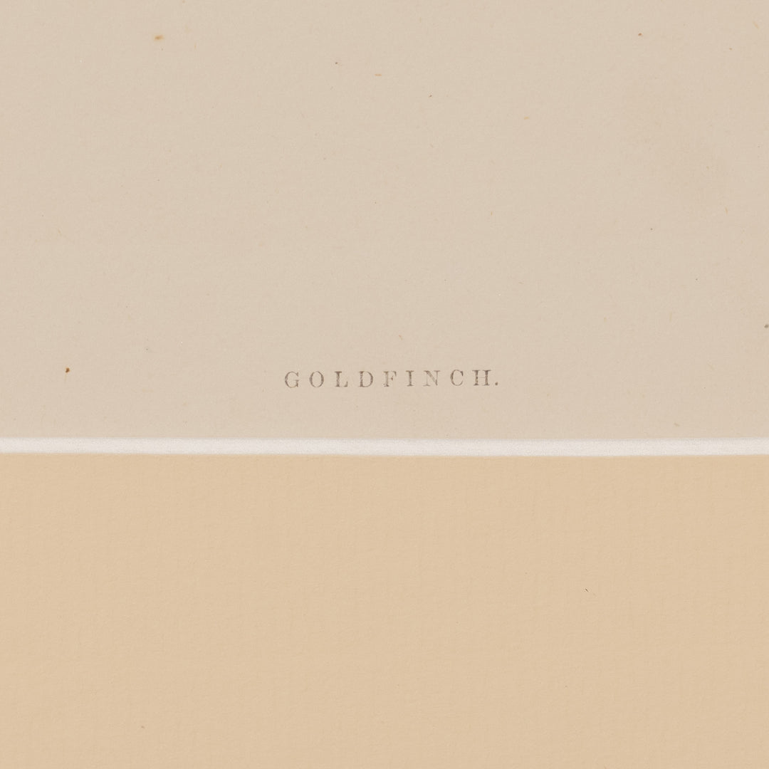『GOLDFINCH』木の枝に佇む美しいゴシキヒワを描いた アートピース
