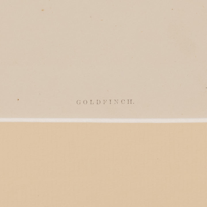 『GOLDFINCH』木の枝に佇む美しいゴシキヒワを描いた アートピース