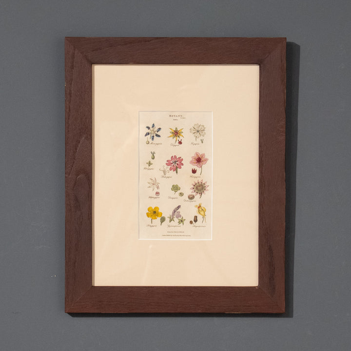 『BOTANY.』リンネの植物分類学［目］と12の花々 アートピース