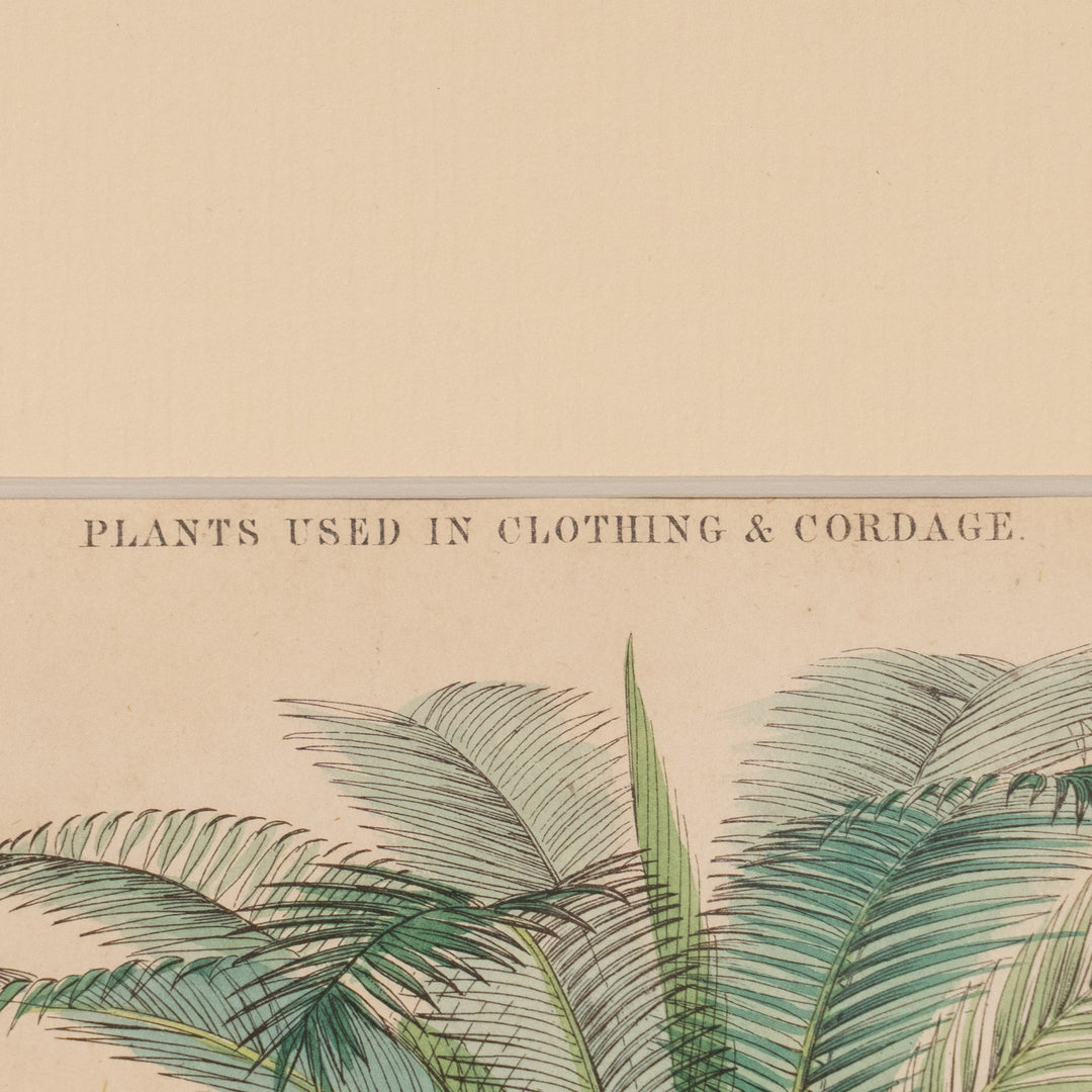 『PLANTS USED IN CLOTHING & CORDAGE』衣類やロープに使われる植物を網羅 アートピース