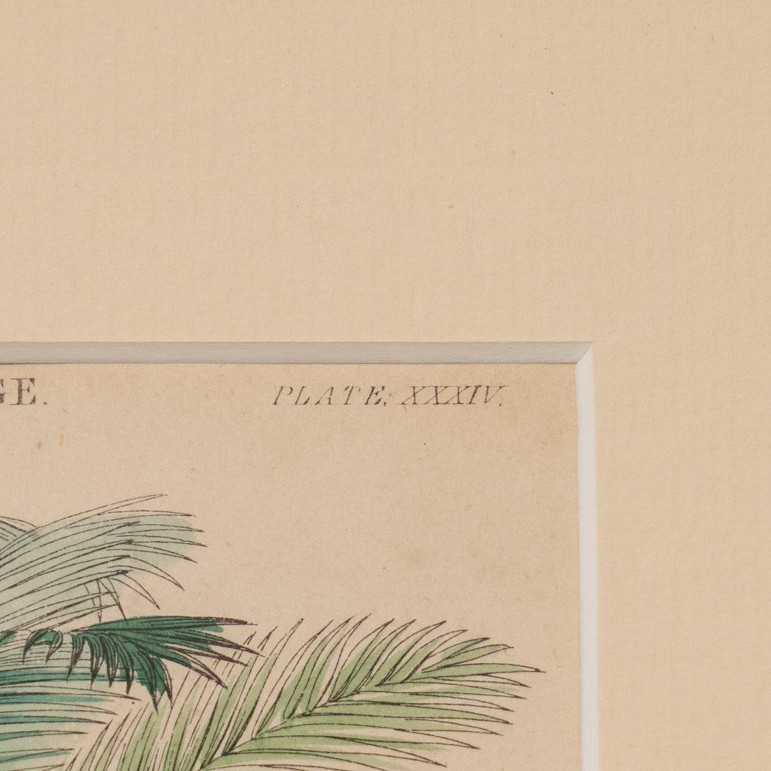 『PLANTS USED IN CLOTHING & CORDAGE』衣類やロープに使われる植物を網羅 アートピース