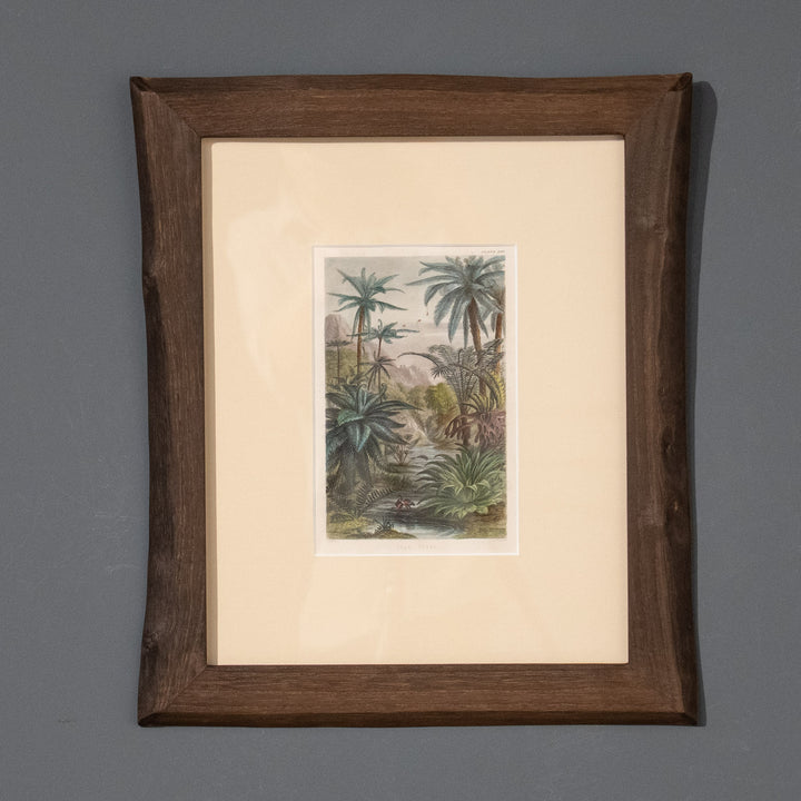 『TREE FERNS.』木生シダ類のある熱帯風景 アートピース