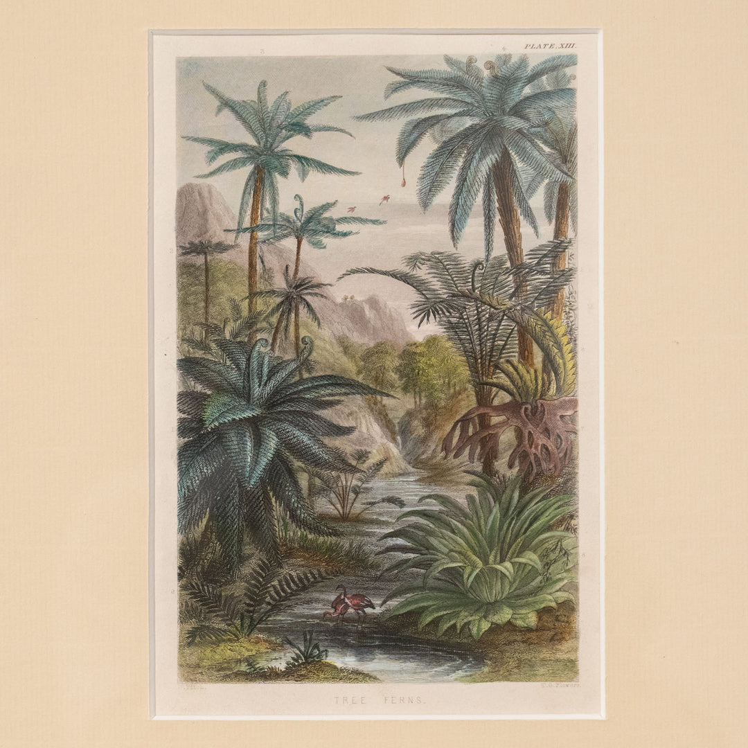 『TREE FERNS.』木生シダ類のある熱帯風景 アートピース