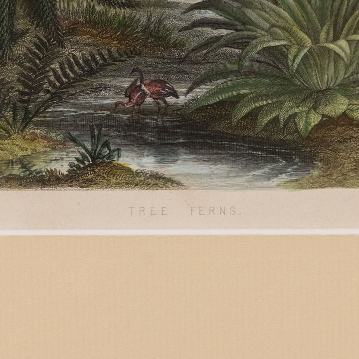 『TREE FERNS.』木生シダ類のある熱帯風景 アートピース