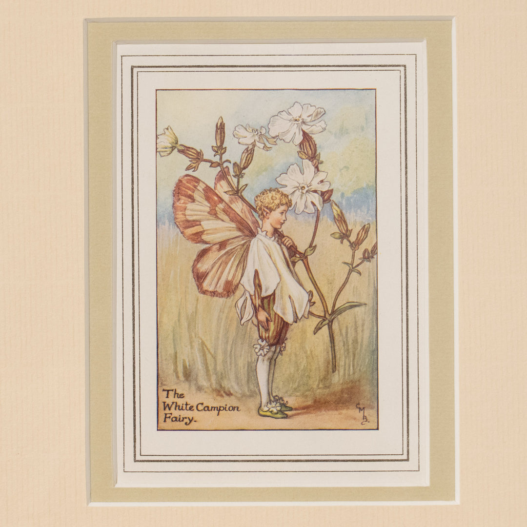 『The WHITE CAMPION Fairy』純白の花びらとブラウスが上品なホワイトキャンピオンの妖精 アートピース