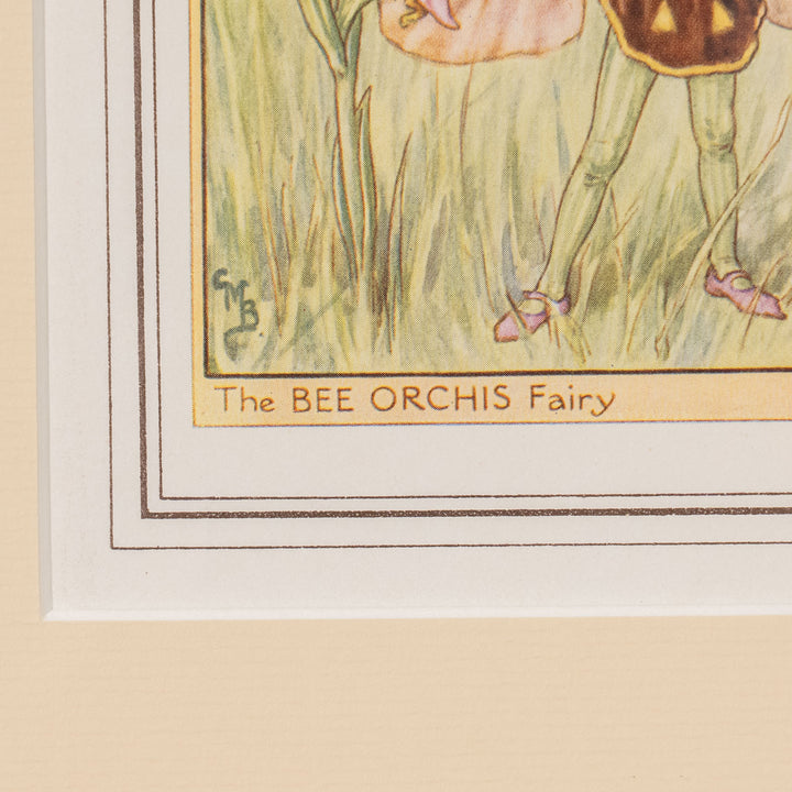 『The BEE ORCHIS Fairy』ミツバチを思わせる装いが目を惹くビーオーキスの妖精 アートピース