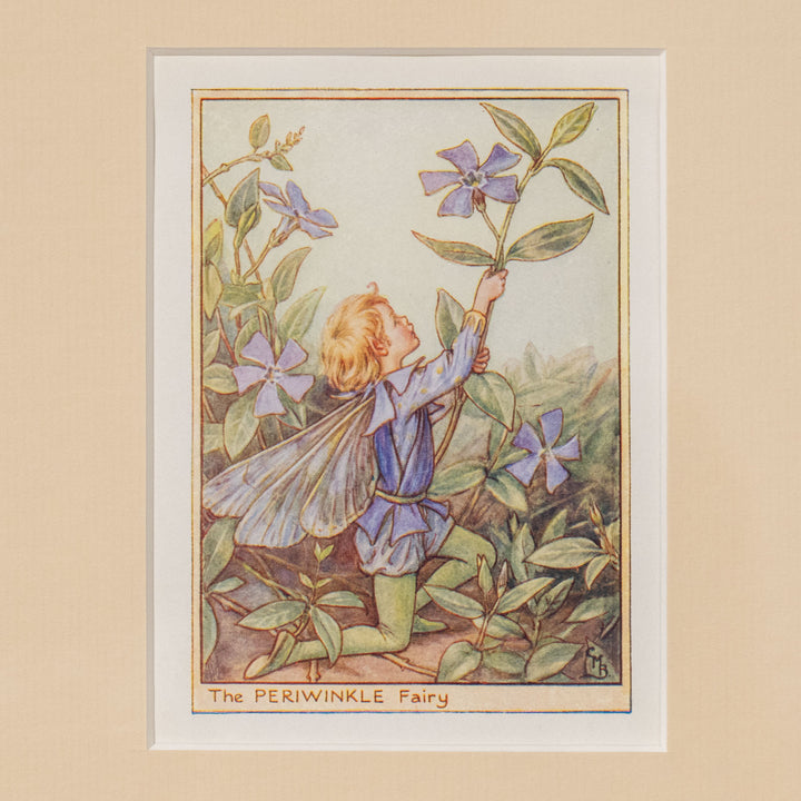 『The PERIWINKLE Fairy』ひたむきな眼差しで花を見上げるペリウィンクルの妖精 アートピース