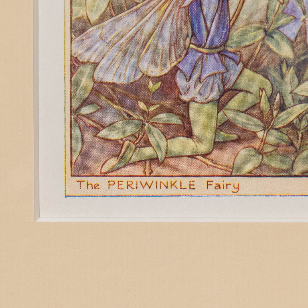 『The PERIWINKLE Fairy』ひたむきな眼差しで花を見上げるペリウィンクルの妖精 アートピース
