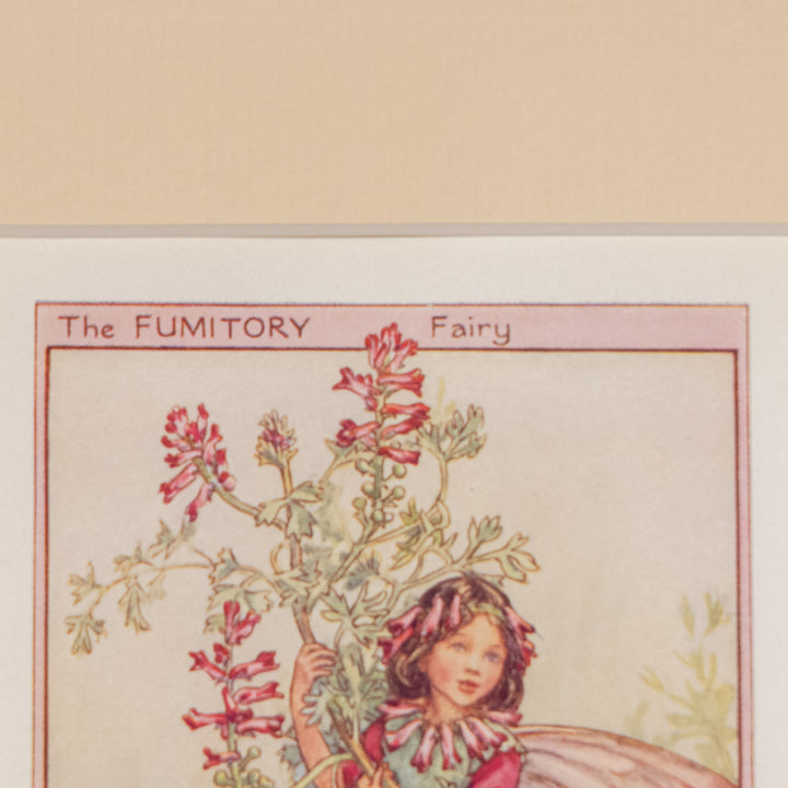 『The FUMITORY Fairy』お花と同じマゼンダピンクのドレスが愛らしいフミトリーの妖精 アートピース