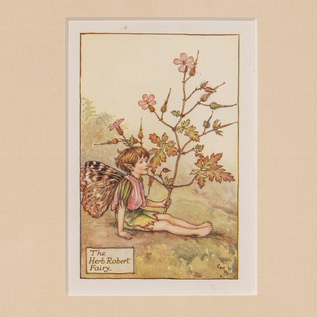 『The HERB ROBERT Fairy』 美しい蛾の羽根を持つハーブロバートの妖精 アートピース