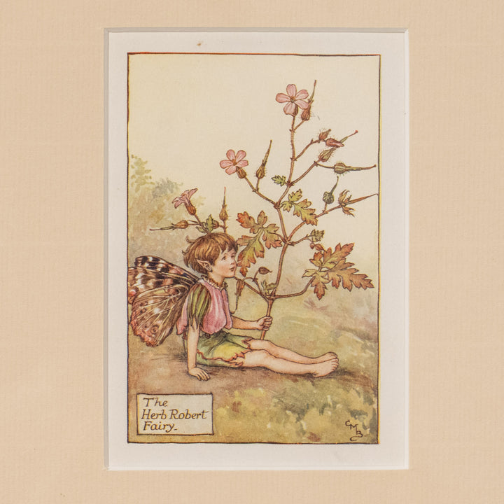 『The HERB ROBERT Fairy』 美しい蛾の羽根を持つハーブロバートの妖精 アートピース