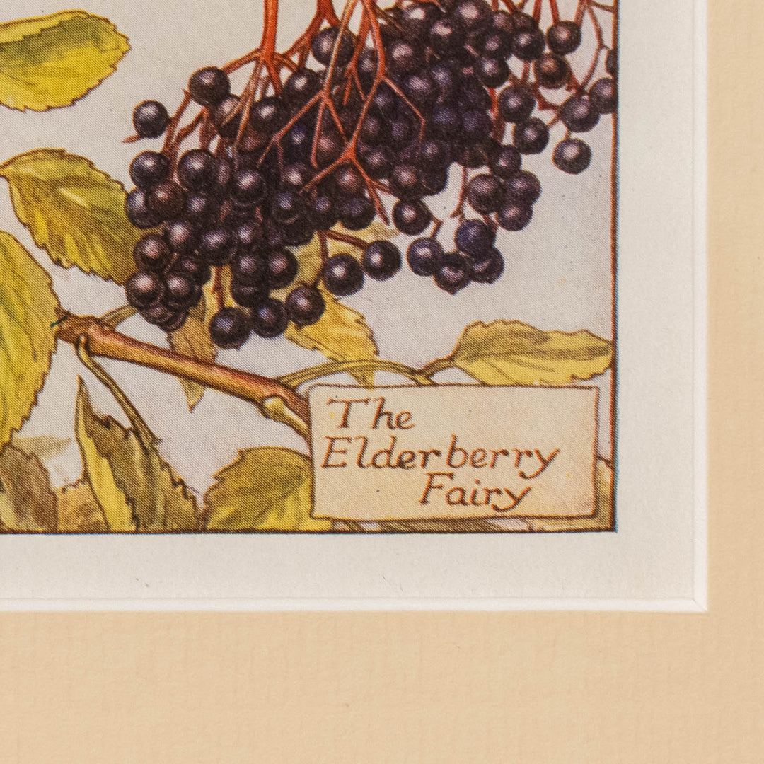 『The ELDERBERRY Fairy』愛おしそうに果実を見つめながらまどろむエルダーベリーの妖精 アートピース
