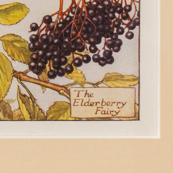 『The ELDERBERRY Fairy』愛おしそうに果実を見つめながらまどろむエルダーベリーの妖精 アートピース