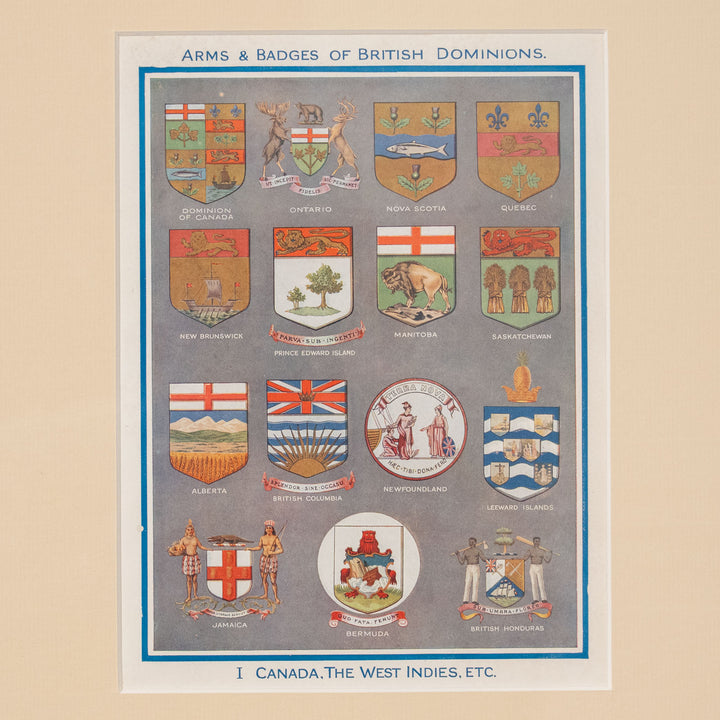 『ARMS & BADGES OF BRITISH DOMINIONS.Ⅰ 』世界を統治した公式紋章の競演 アートピース