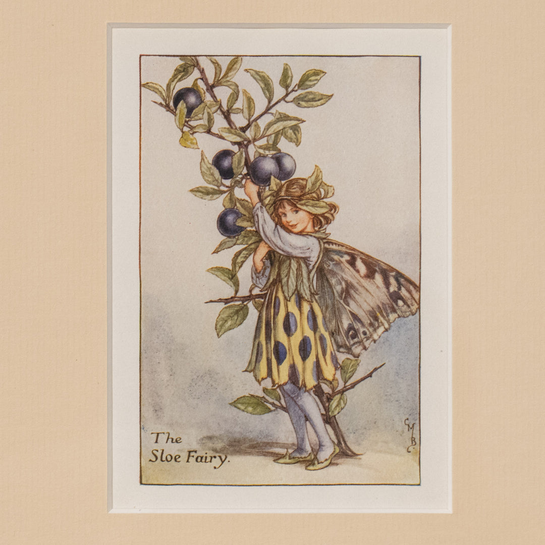 『The SLOE Fairy』スローの実を誇らしげに収穫する妖精 アートピース