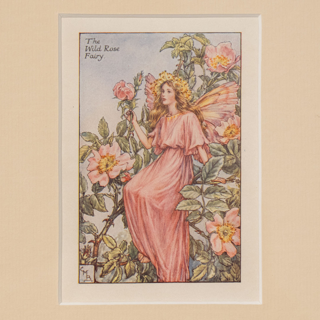 『The WILD ROSE Fairy』満開のノバラの枝に腰掛けた美しい妖精 アートピース