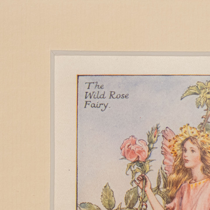 『The WILD ROSE Fairy』満開のノバラの枝に腰掛けた美しい妖精 アートピース