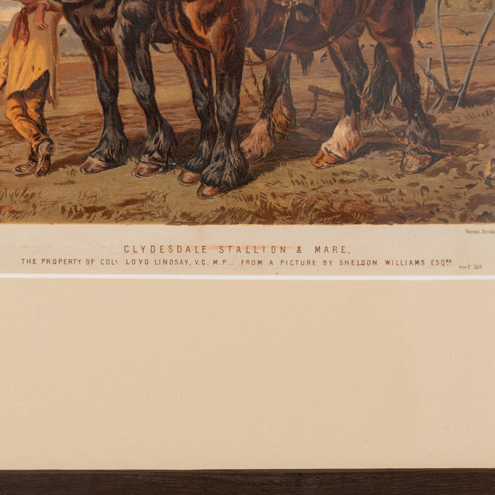 『CLYDESDALE STALLION & MARE』重種馬クライズデールの圧倒的な馬体が美しい アートピース
