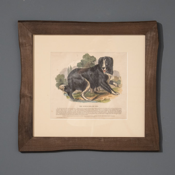 『THE NEWFOUNDLAND DOG』心優しき水難救助犬 ニューファンドランドドッグ アートピース