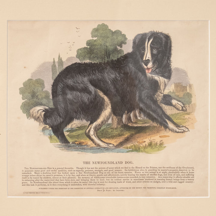 『THE NEWFOUNDLAND DOG』心優しき水難救助犬 ニューファンドランドドッグ アートピース