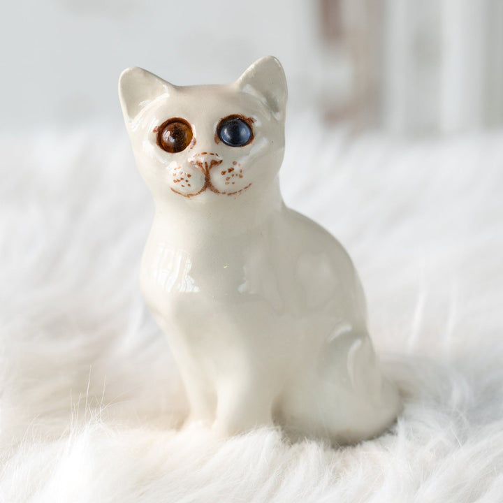 【Winstanley Cat ウィンスタンレイ キャット】穏やかで柔らかな表情に心惹かれる オッドアイ スノーウィ 白猫 /25L