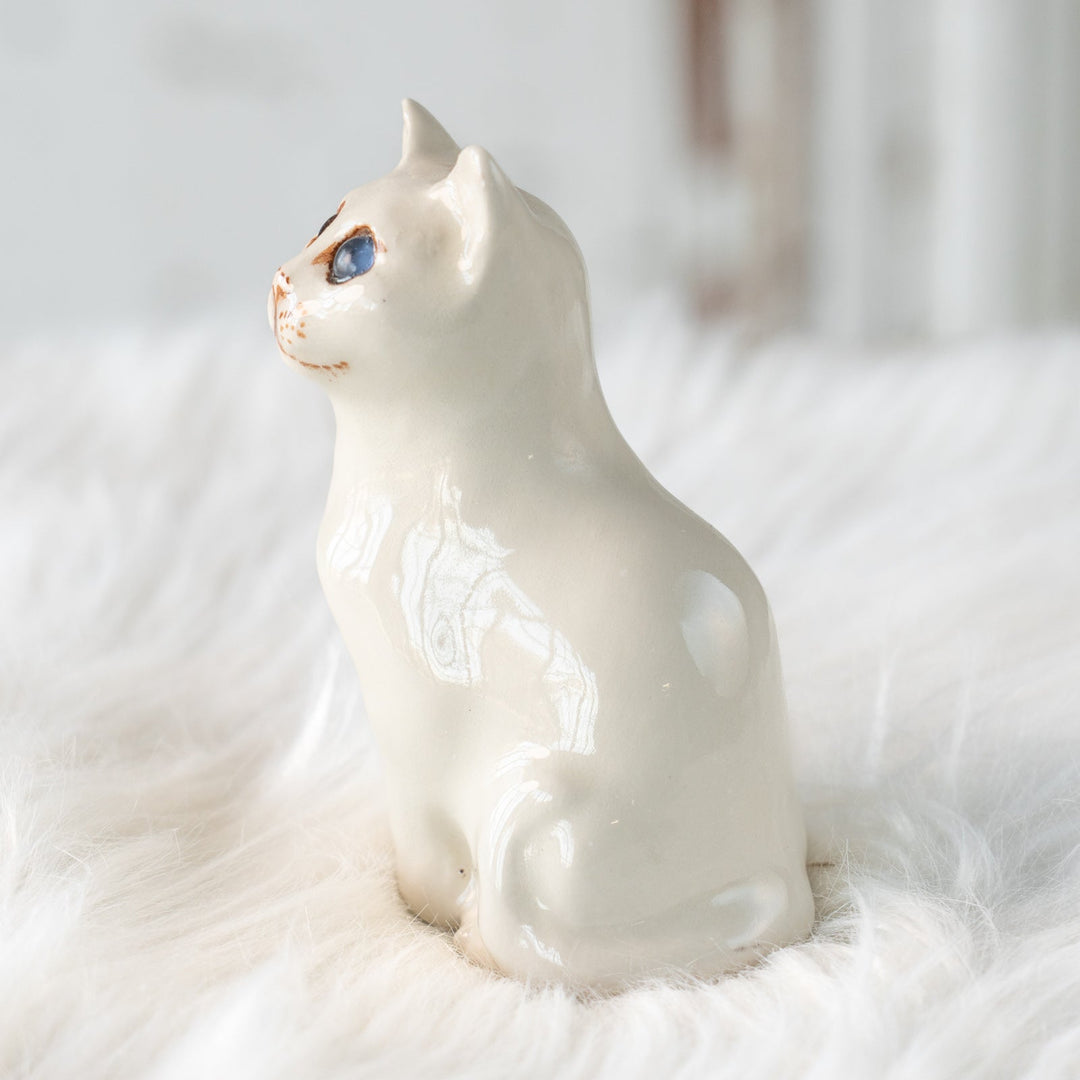 【Winstanley Cat ウィンスタンレイ キャット】穏やかで柔らかな表情に心惹かれる オッドアイ スノーウィ 白猫 /25L