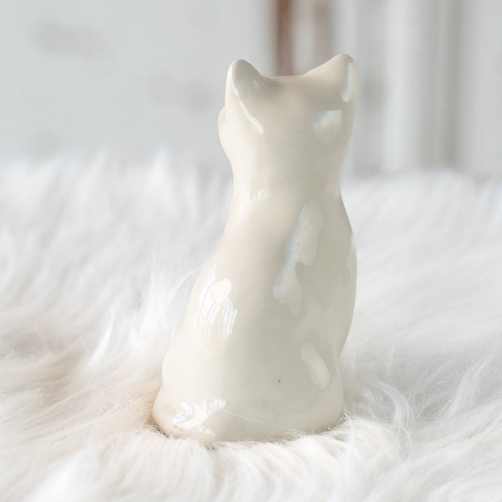 【Winstanley Cat ウィンスタンレイ キャット】穏やかで柔らかな表情に心惹かれる オッドアイ スノーウィ 白猫 /25L