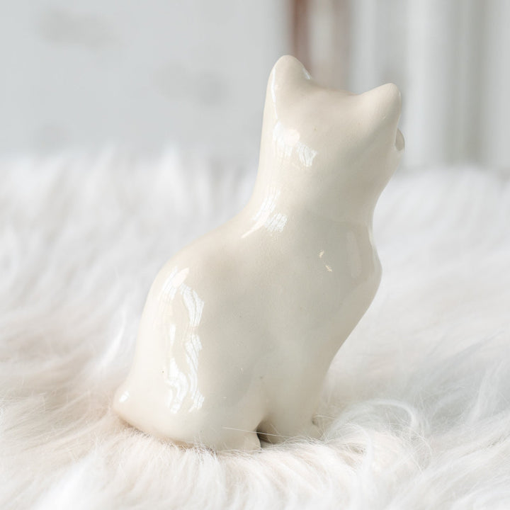 【Winstanley Cat ウィンスタンレイ キャット】穏やかで柔らかな表情に心惹かれる オッドアイ スノーウィ 白猫 /25L