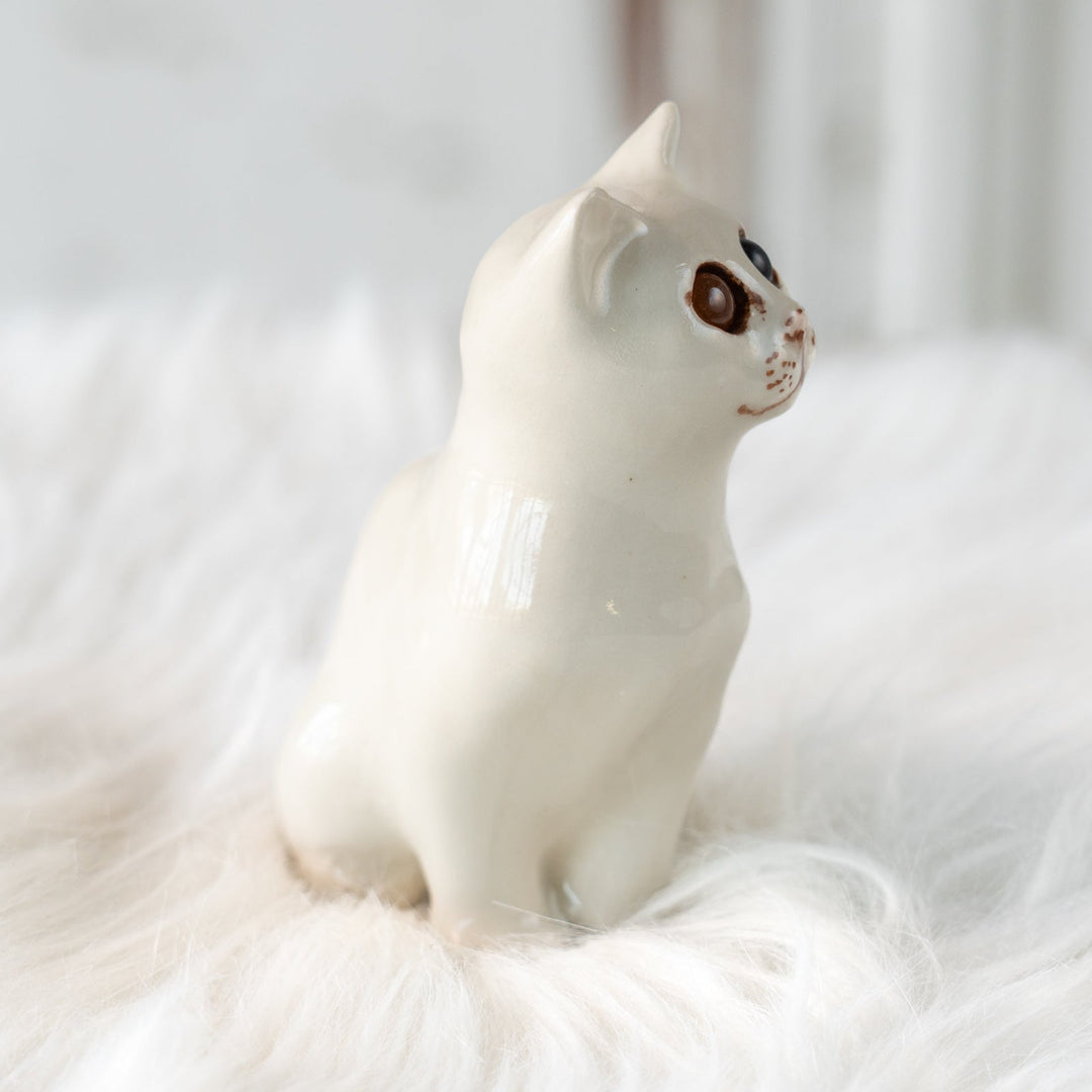 【Winstanley Cat ウィンスタンレイ キャット】穏やかで柔らかな表情に心惹かれる オッドアイ スノーウィ 白猫 /25L