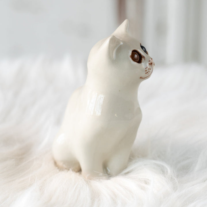 【Winstanley Cat ウィンスタンレイ キャット】穏やかで柔らかな表情に心惹かれる オッドアイ スノーウィ 白猫 /25L